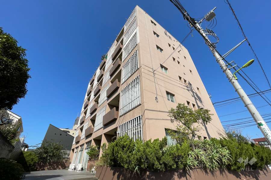 田園メイゾンの外観（南東側から）