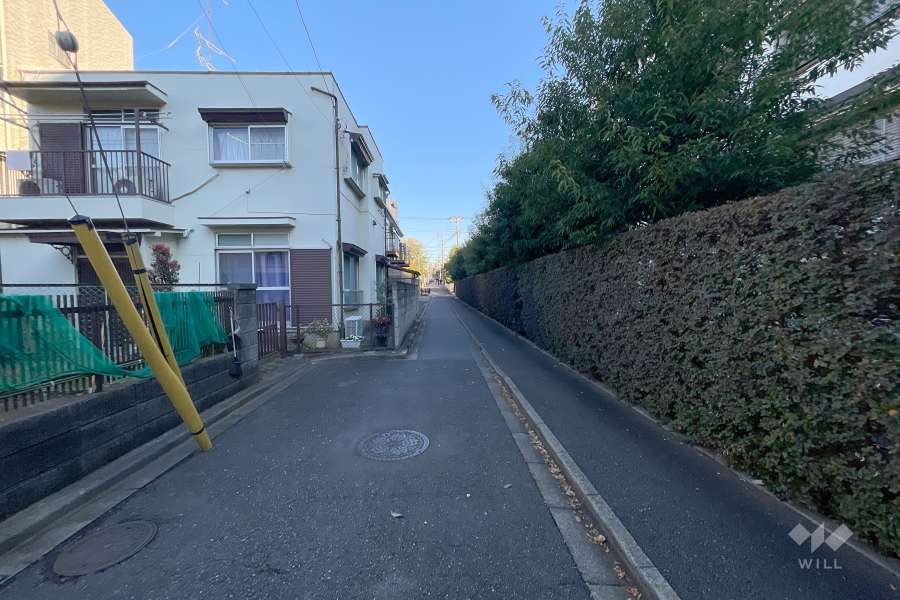 敷地南東側の前面道路（南側から）