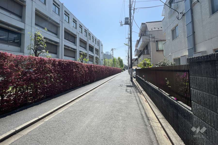 敷地東側の前面道路（北側から）