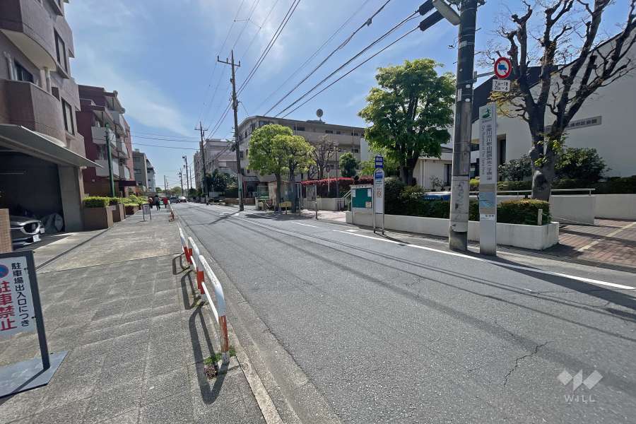 敷地北側の前面道路（東側から）