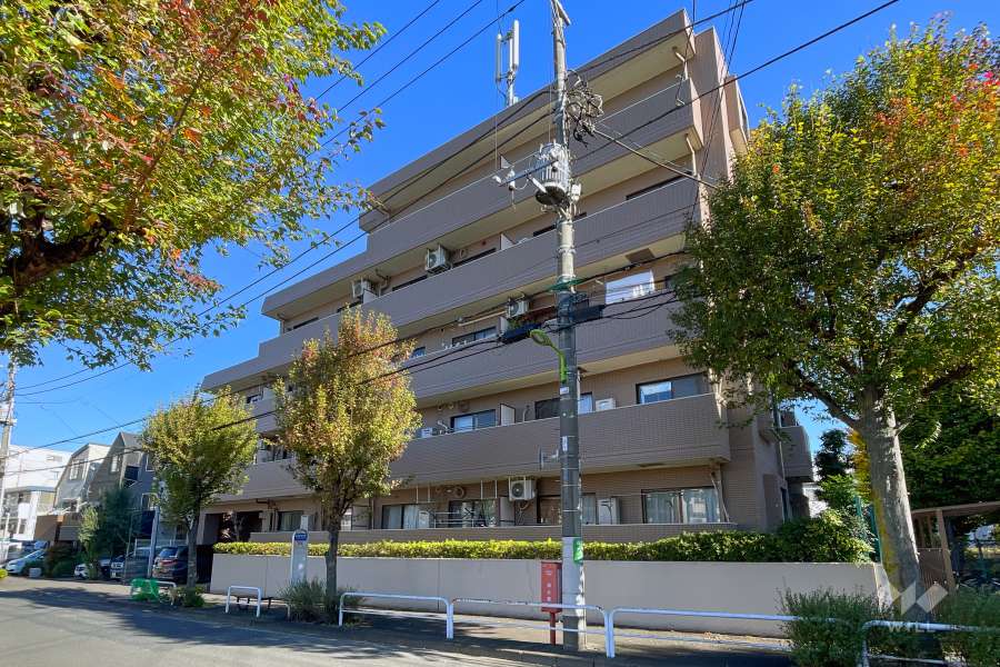 マイキャッスル尾山台の外観（南側から）