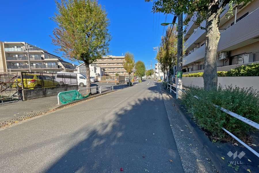 敷地西側の前面道路（南側から）