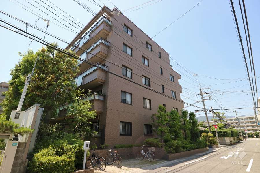 ステイツ芦屋伊勢町（南東側から）