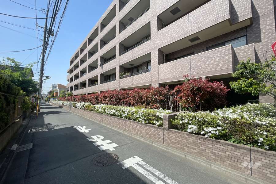 敷地南側の前面道路（東側から）
