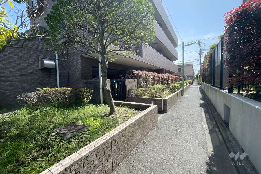 敷地西側の全面通路（北側から）