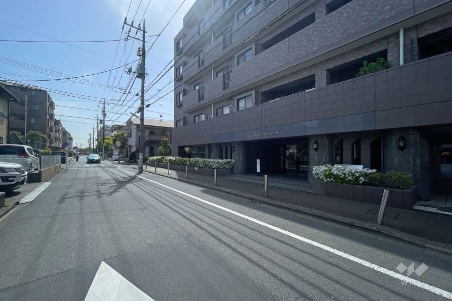 敷地東側の前面道路（北側から）