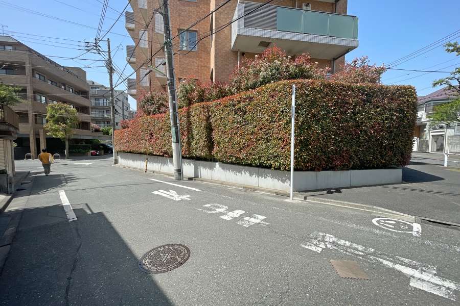 敷地南東側の前面道路