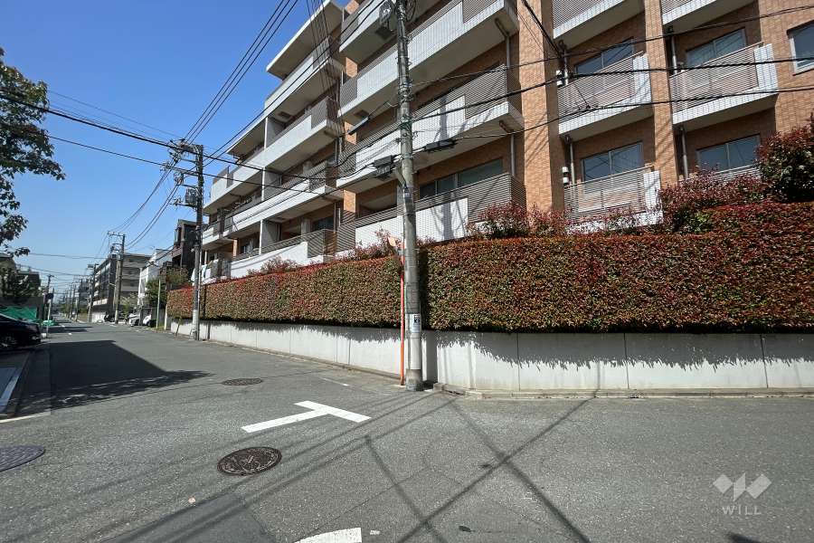 敷地南側の前面道路