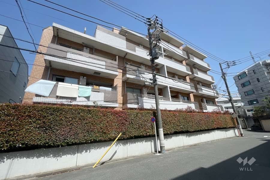 敷地南西側の前面道路