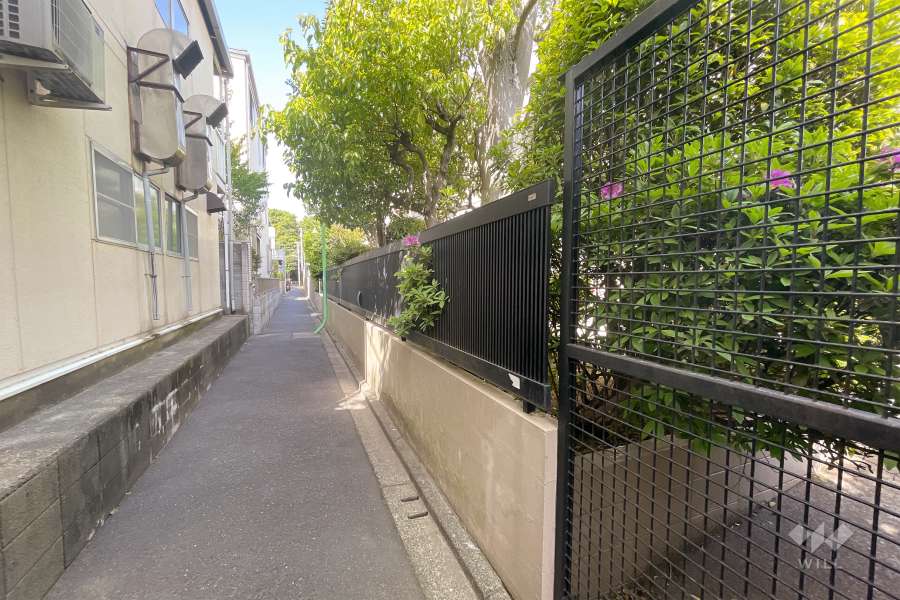 敷地西側の前面道路（南側から）