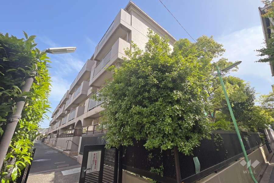 ニックハイム尾山台の外観（北西側から）