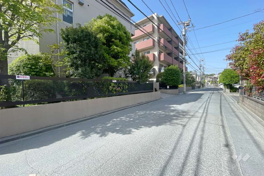 敷地東側の前面道路（南側から）