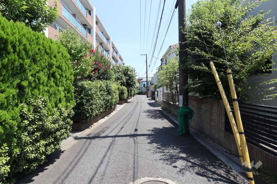 敷地南西側の前面道路（北西側から）