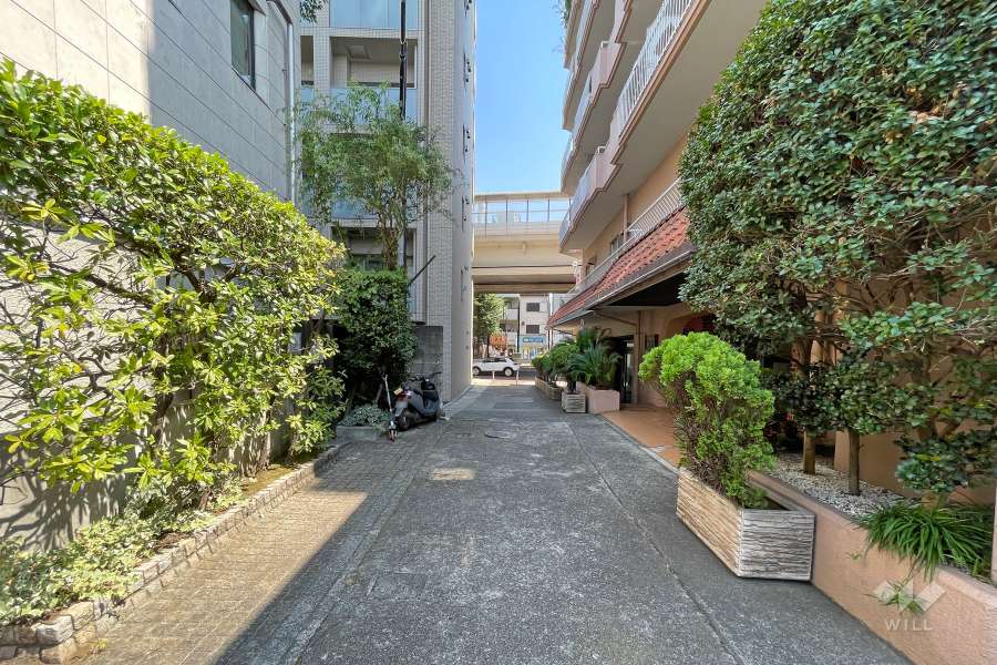 敷地東側の前面道路