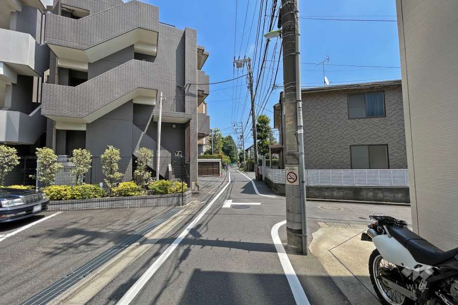 敷地南側の前面道路（西側から）