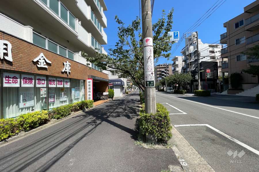 敷地南側の前面道路（西側から）