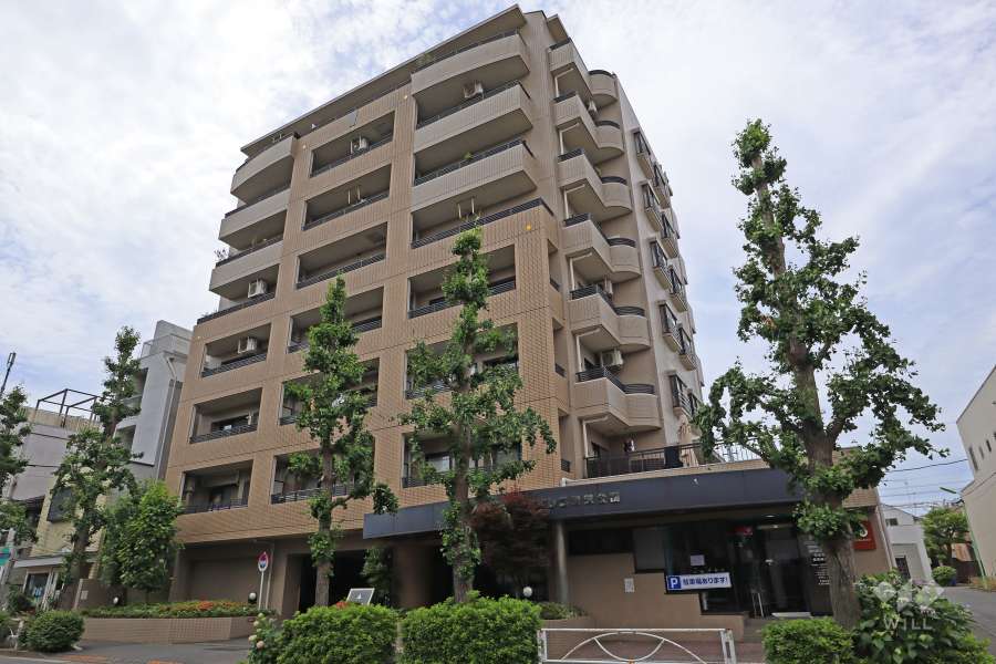 パシフィックパレス駒沢公園（北東側から）