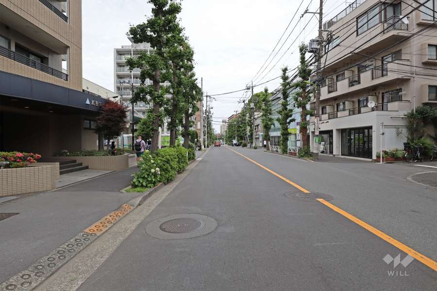 敷地東側の前面道路は駒沢公園通りです（北側から）。
