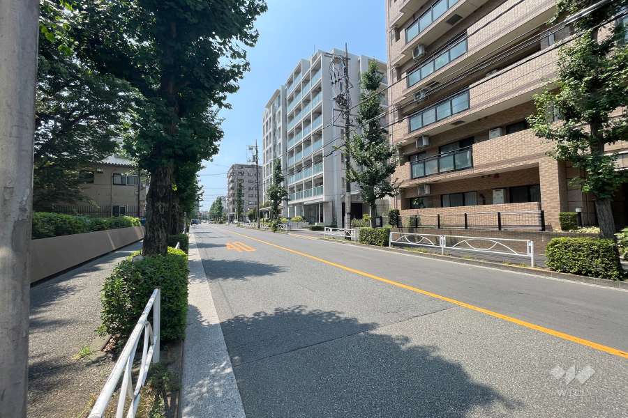 敷地東側の前面道路