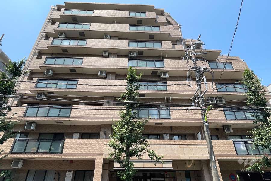 マイキャッスル駒沢公園フロントビューの外観（東側から）