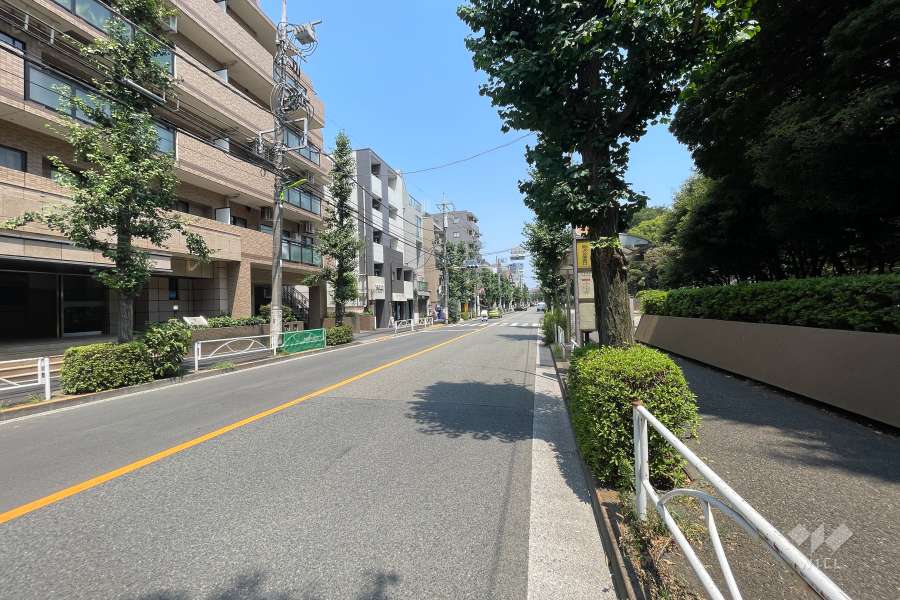 敷地東側の前面道路