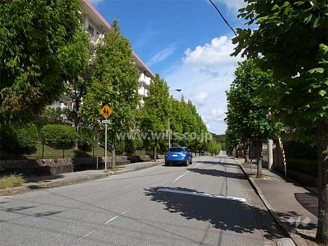 26号棟の南側の前面道路は街路樹がきれいな通りです。
