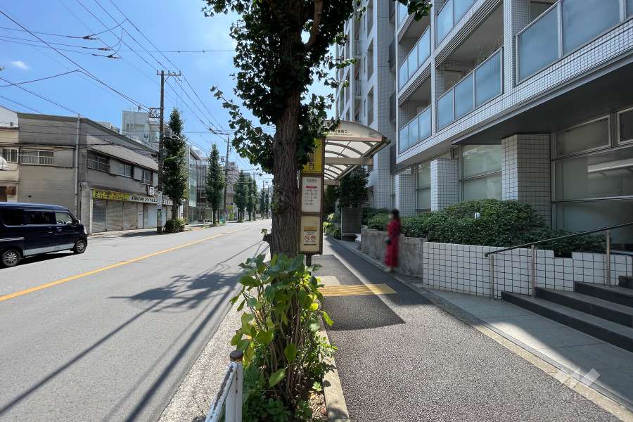 敷地東側の前面道路