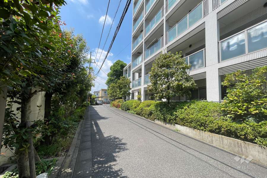 敷地南側の前面道路