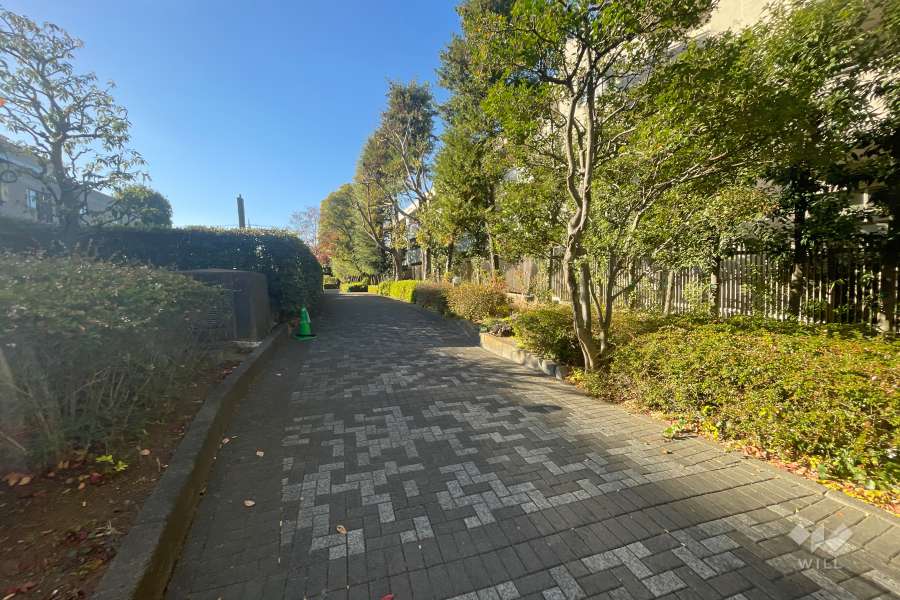 敷地南側の前面道路　