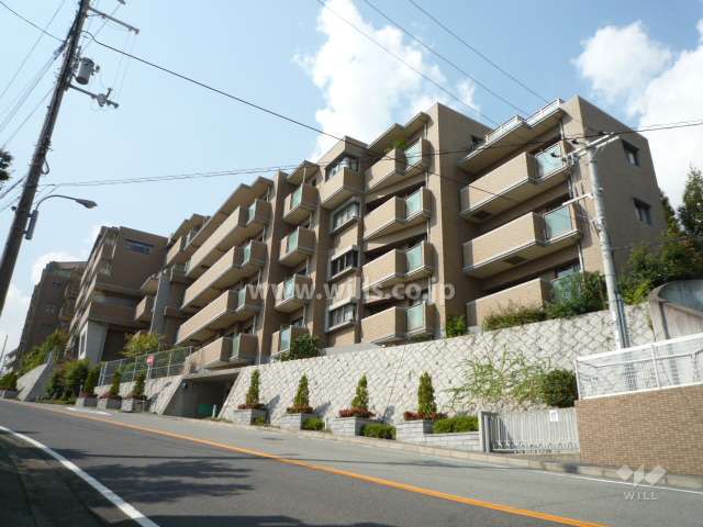 敷地の南側は2車線の通りに面しています。