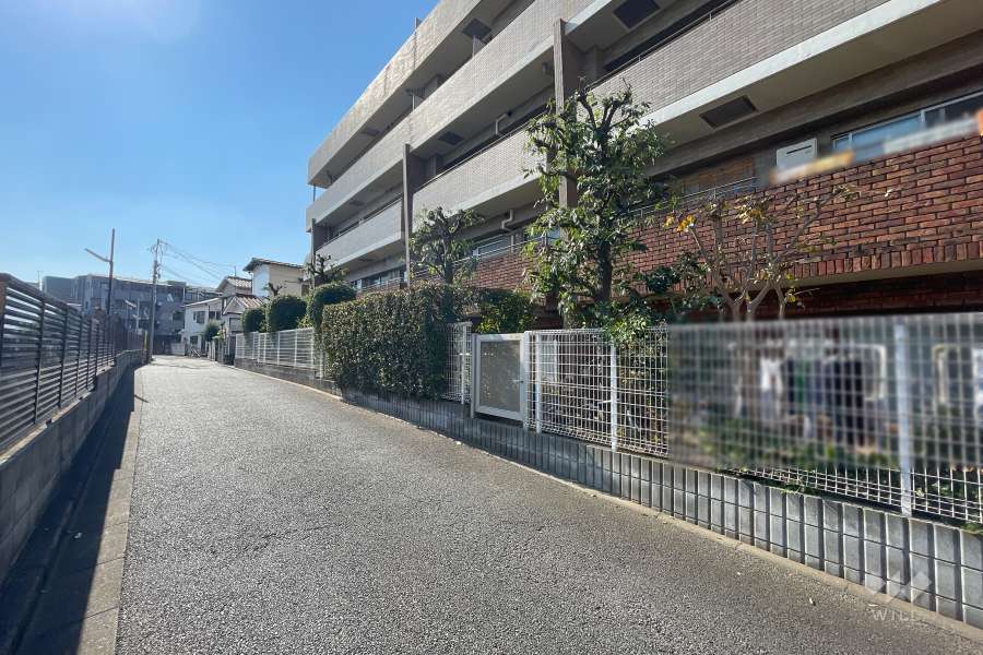 敷地東側の前面道路