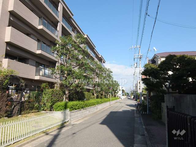 敷地南側の前面道路
