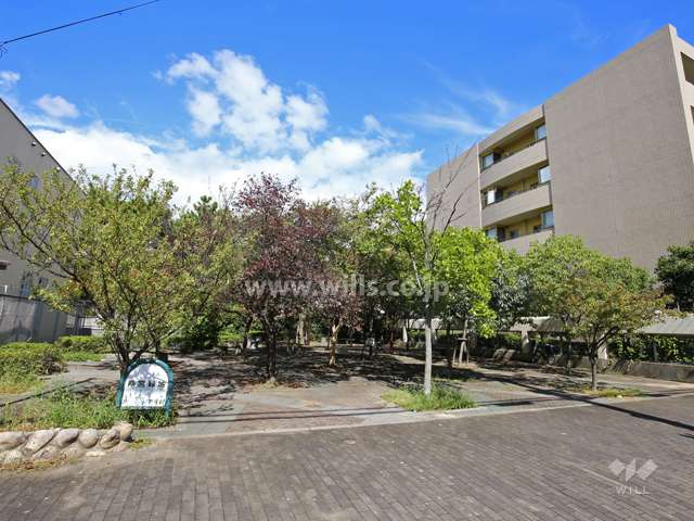 敷地南西側にある『南宮緑地』