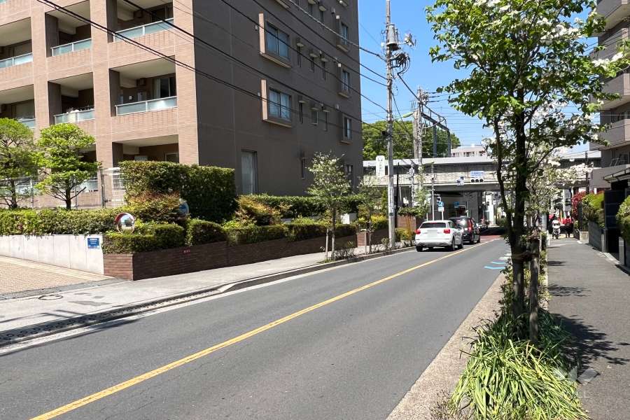 敷地東側の前面道路（南側から）