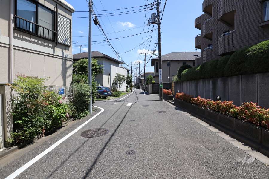 敷地北西側の前面道路（南西側から）