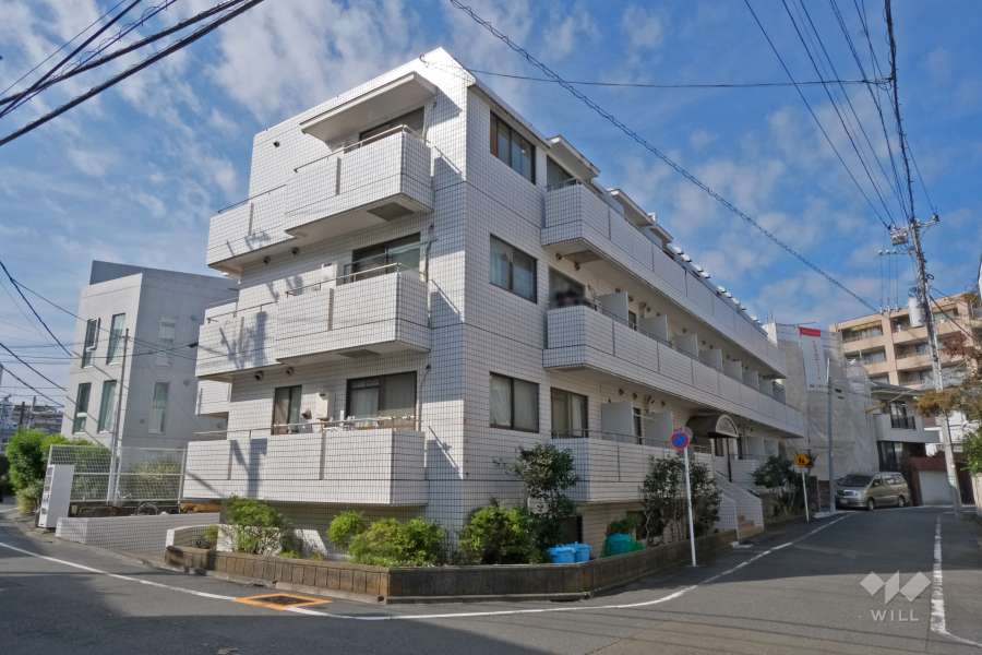 朝日プラザ桜新町の外観（東側から）