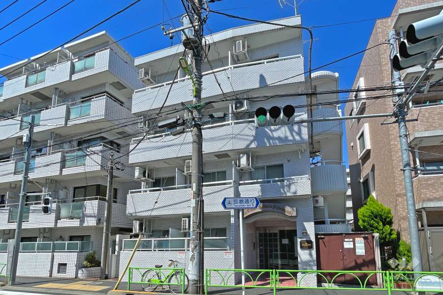 スカイコート桜新町の外観（南東側から）