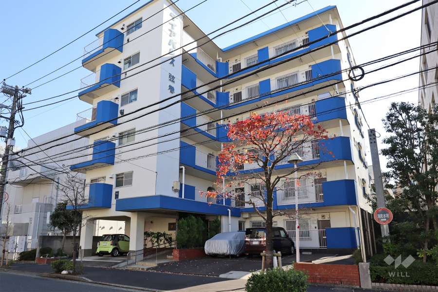 ダイアパレス弦巻の外観（北西側から）