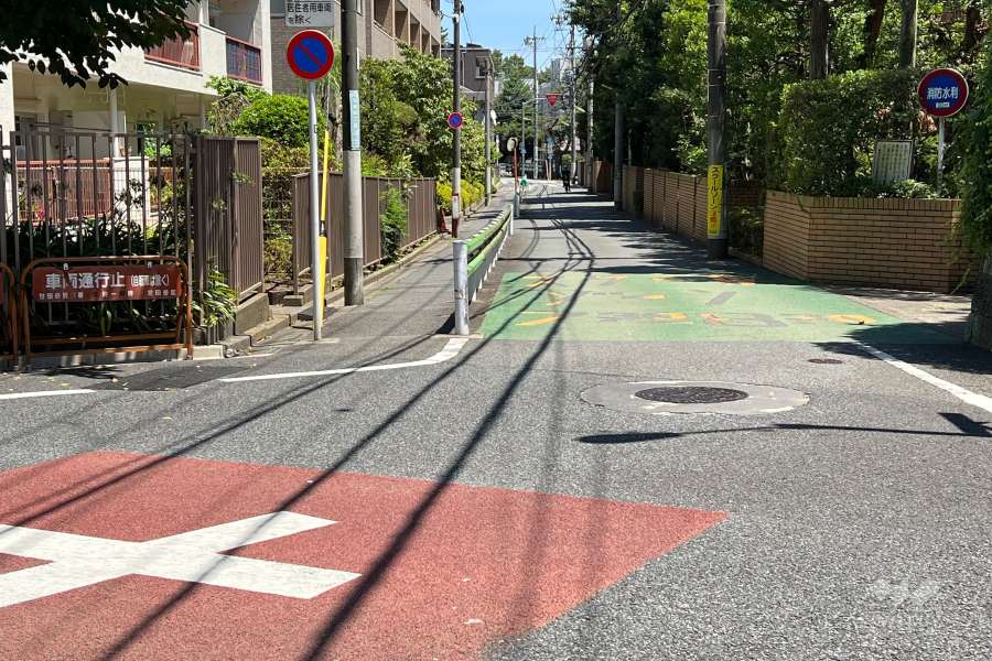 敷地の南側前面道路(西側から)