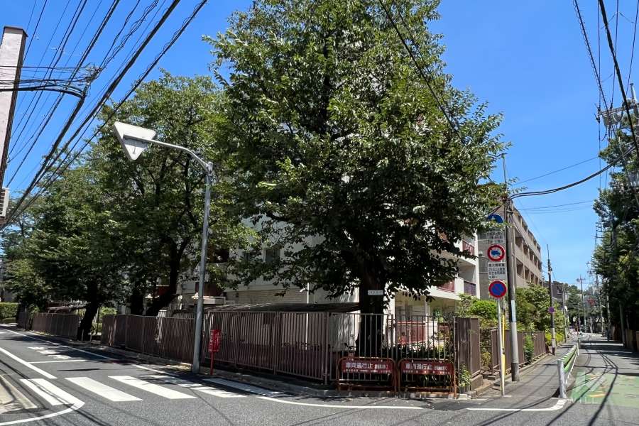 弦巻ハイコーポの外観(西側から)