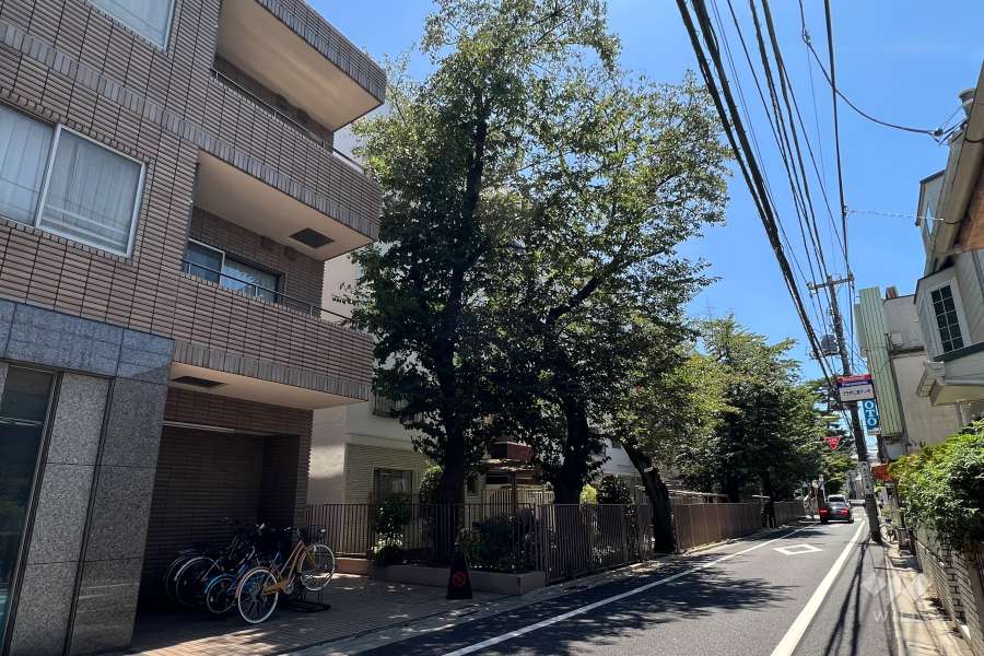 弦巻ハイコーポの外観(北側から)