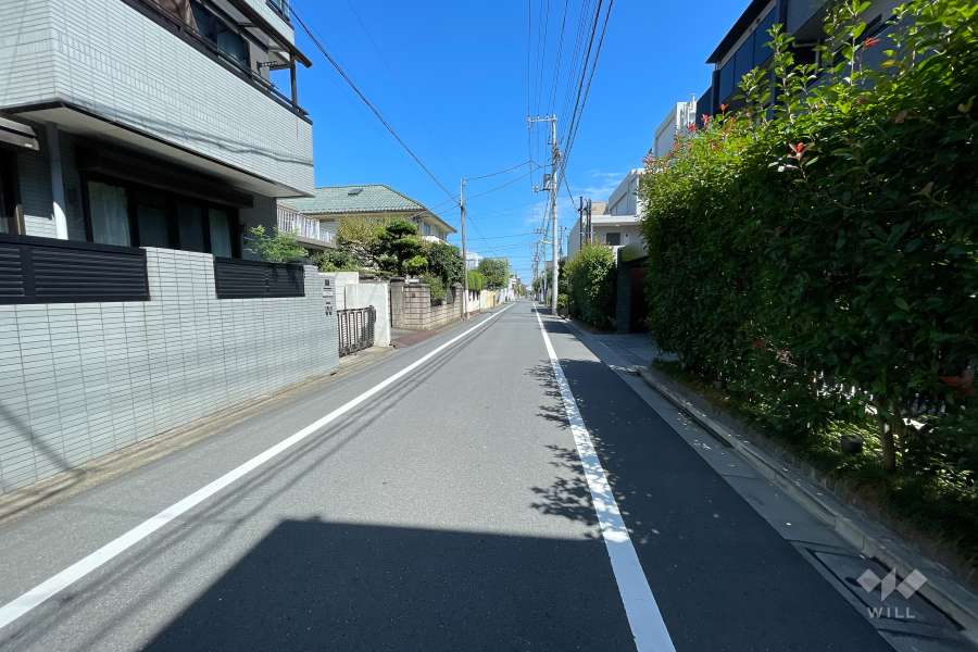 敷地北側の前面道路（西側から）