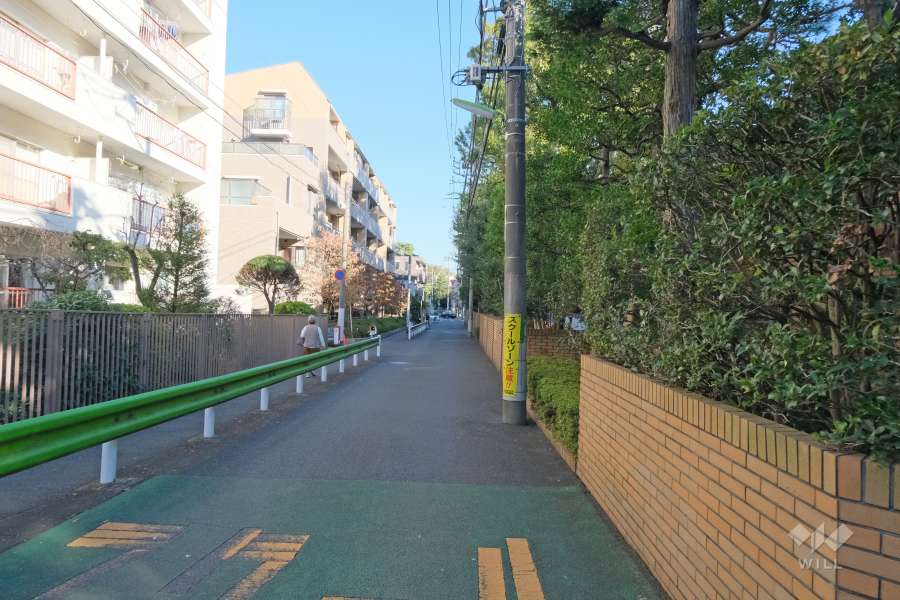 敷地北側の前面道路（西側から）