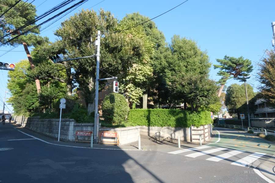 敷地南側の前面道路（西側から）