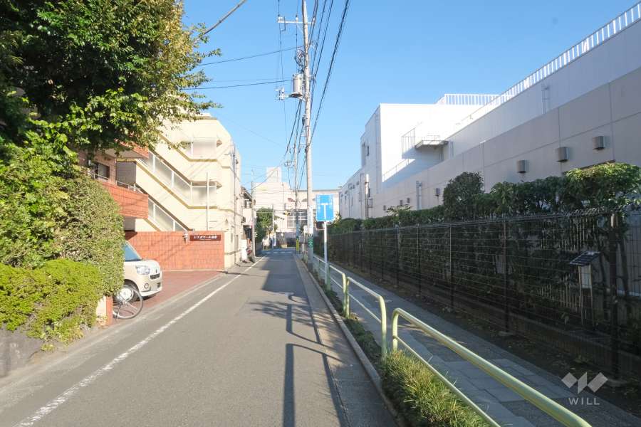 敷地南側の前面道路（西側から）