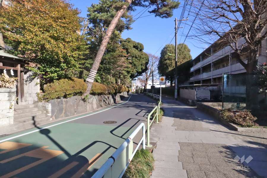 敷地南側の前面道路（西側から）