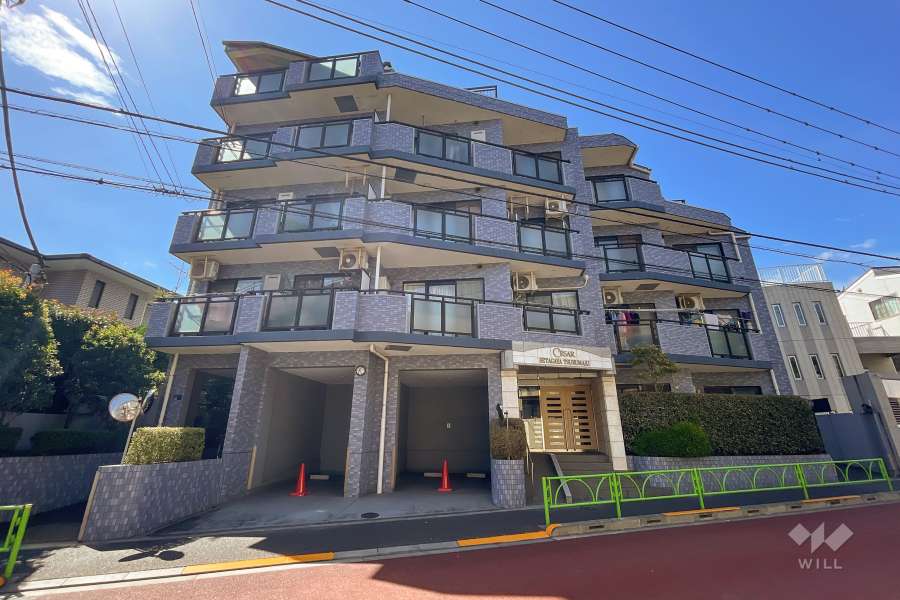 セザール世田谷弦巻の外観（南東側から）