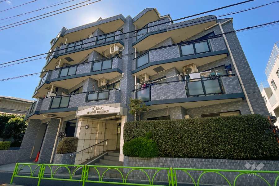 セザール世田谷弦巻の外観（北東側から）