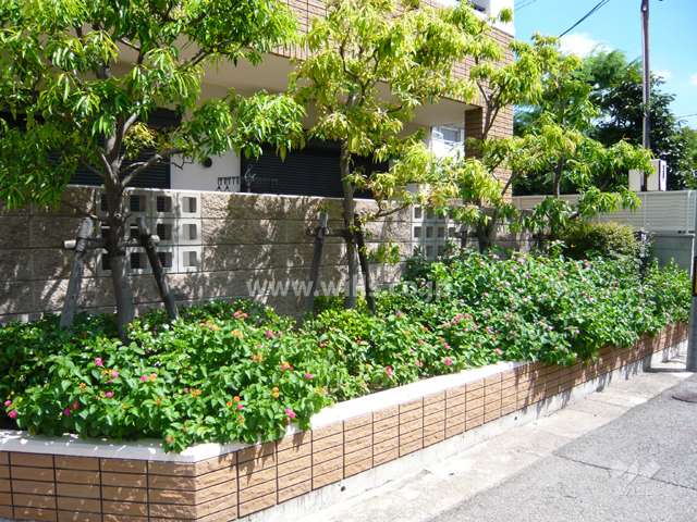 敷地内には緑が多く植えられています