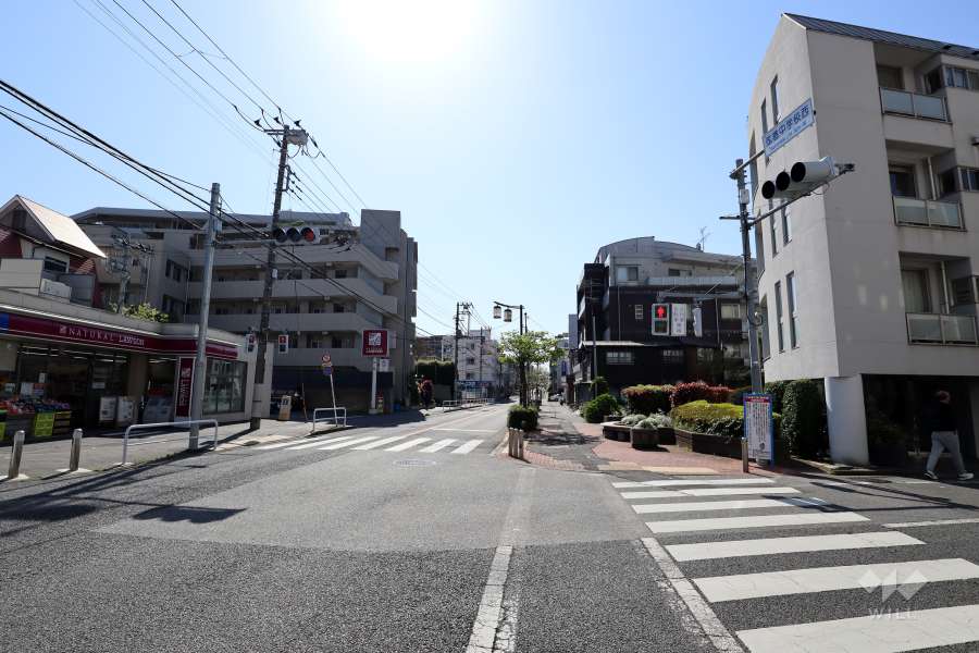 敷地南側の前面道路（東側から）